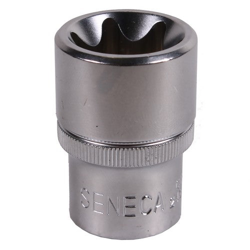 Torx socket 1/2'' e22