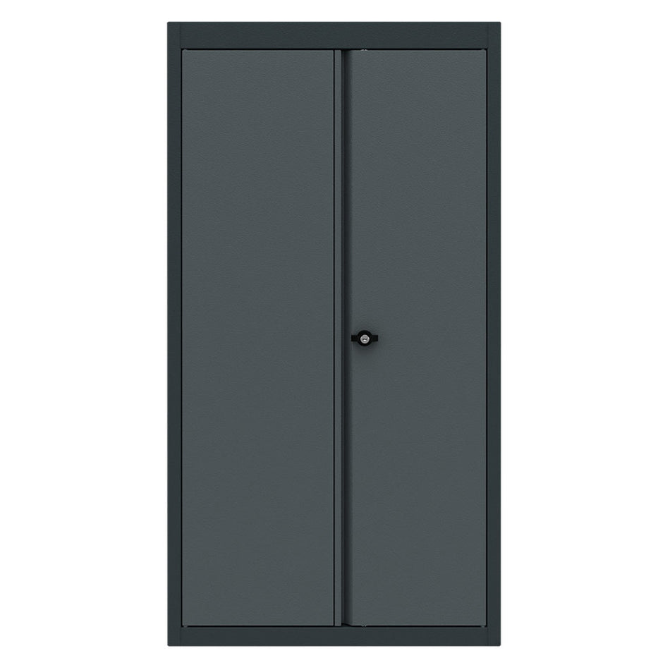 Armoire murale 2 portes Expert 